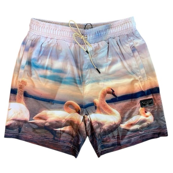 WELL KNOWN STUDIOS The Swan Family Shorts 7”  Men’s Size Large Street Wear NEW - Picture 1 of 13